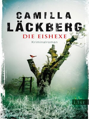 cover image of Die Eishexe